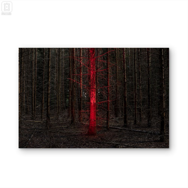 'Signal 05' Fineart print on dibond   