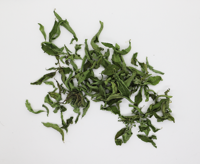 Verveine odorante (Aloysia citrodora)