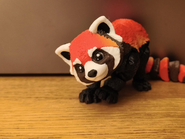 Coco the Red Panda