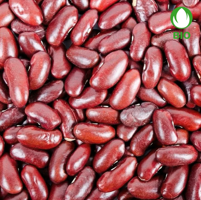 Kidney Bohnen Rot Bio Knospe