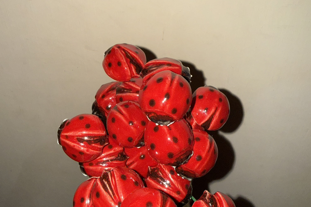 Ceramic Ladybird