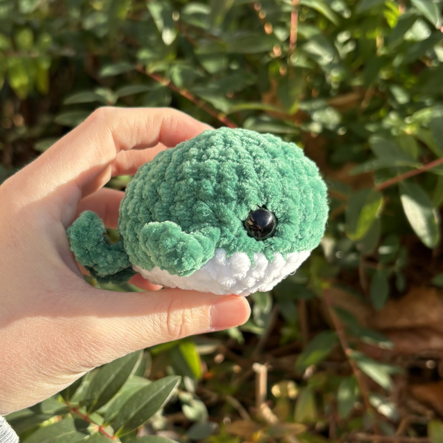 Bébé baleine multicolore