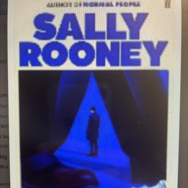 Intermezzo Sally Rooney (Paperback)