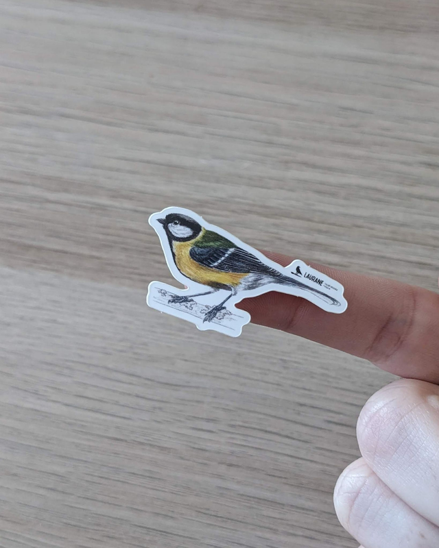 Ministicker Mésange charbonnière