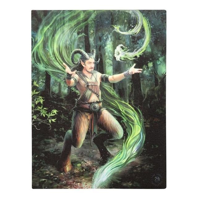 19x25cm Earth Element Wizard Canvas Plaque By Anne Stokes