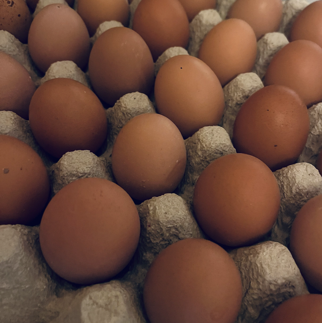 Œufs frais de nos poulettes 