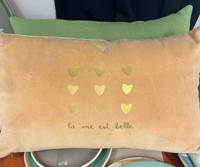 Coussin velours rectangulaire 