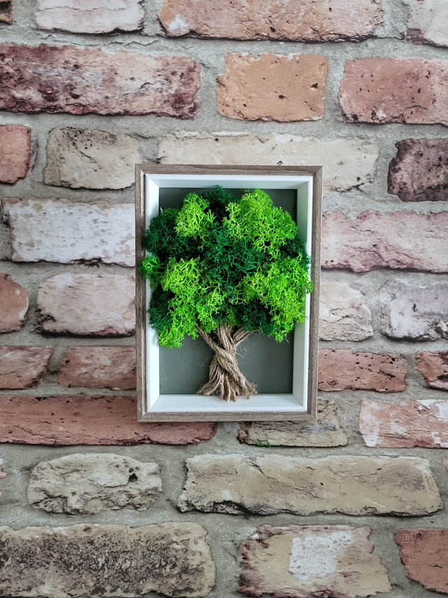 Moss Tree / Green Moss /
