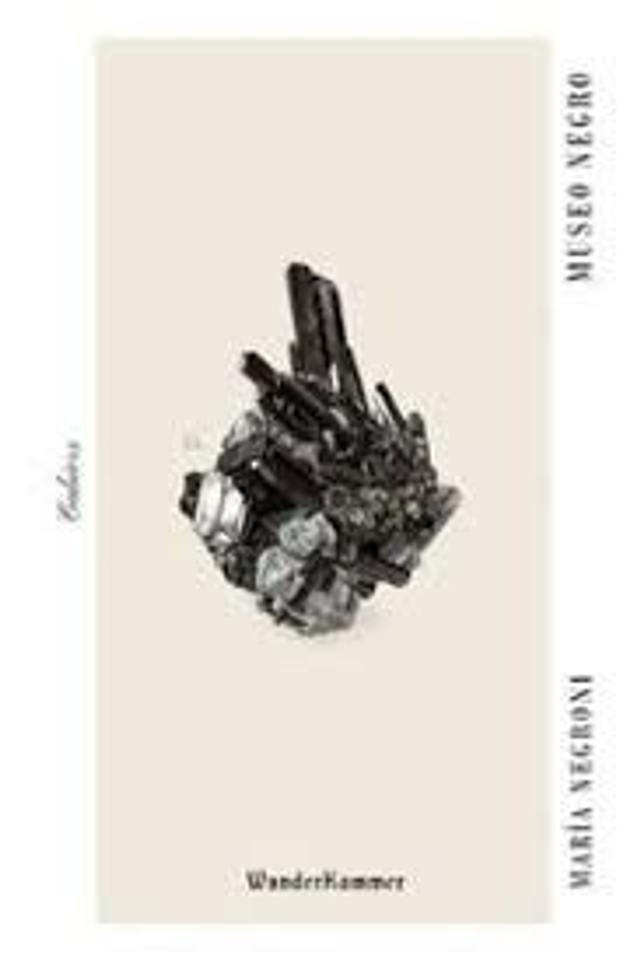 Museo negro - María Negroni