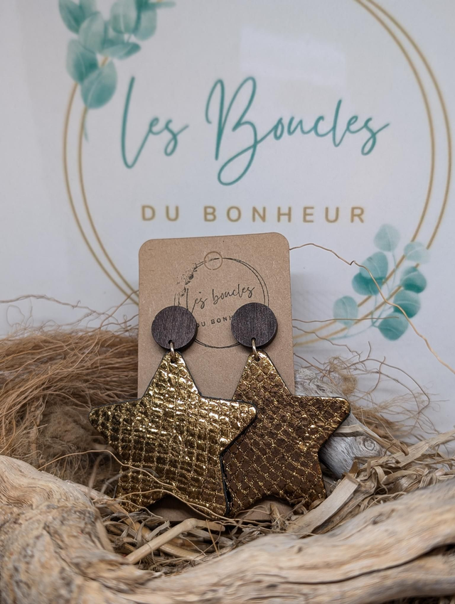 Boucles d&#039;oreilles bronze doré Star s112