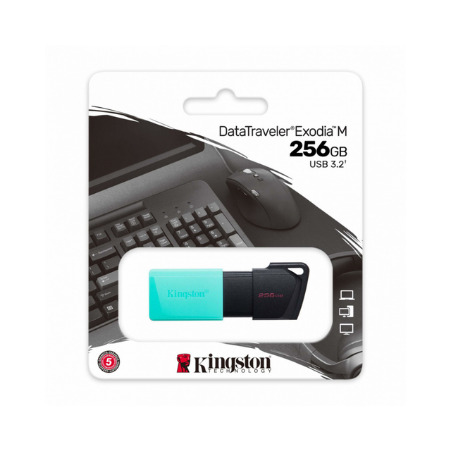 Kingston Technology DataTraveler Exodia M USB Flash Drive 256 GB