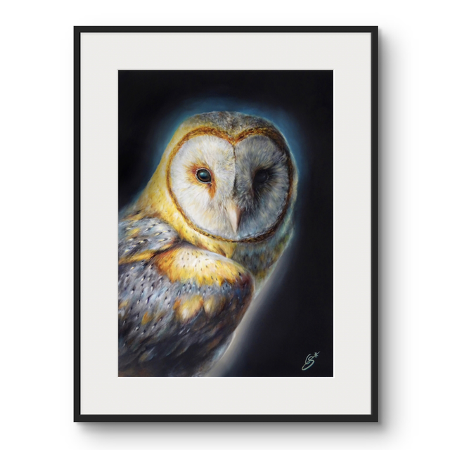 Tirage d’art Chouette 