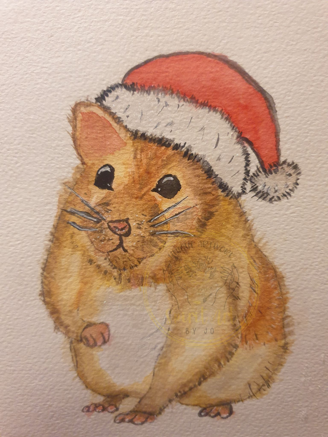 Hamster