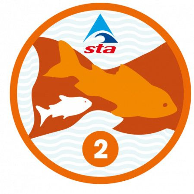 Goldfish 2 - Certificate with Badge