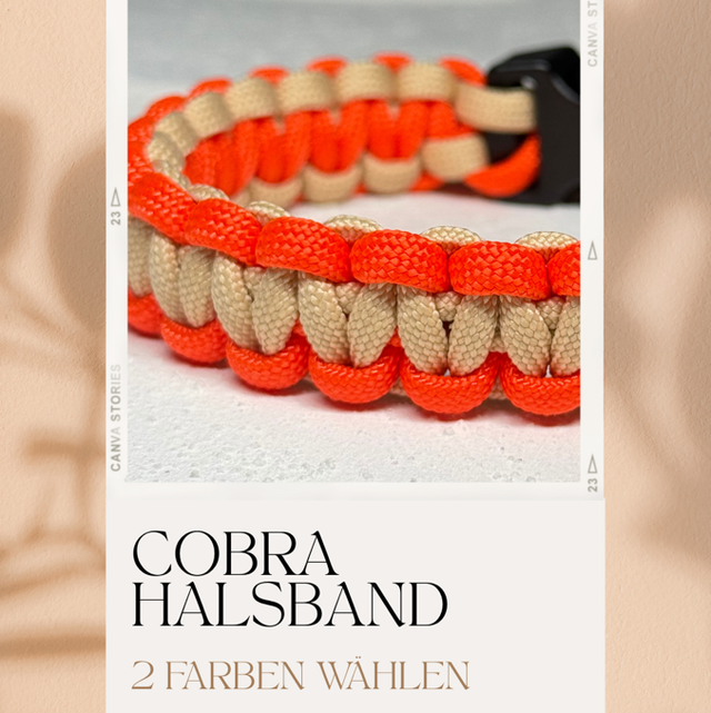 1 | Cobra - Create your own Halsband 
