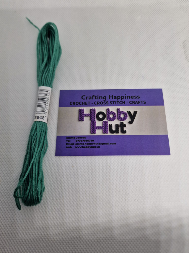 Embroidery Thread - 3848