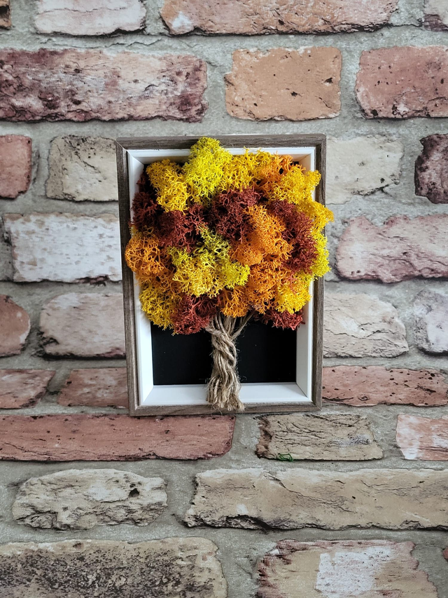 Fall Moss Tree / Small Size /