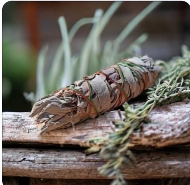 Bâton De Sauge Blanche de Californie - Purification•Clarté•Intention