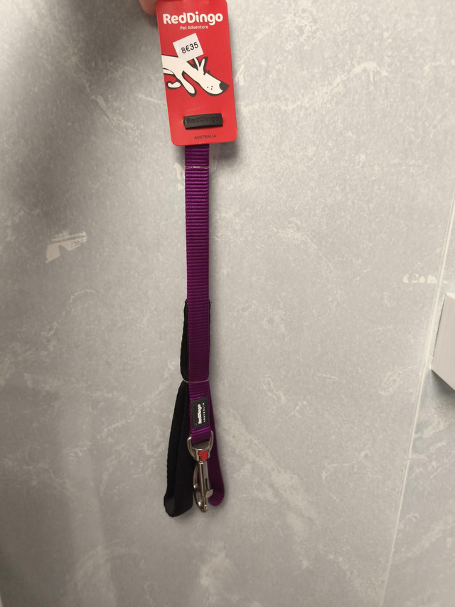 Laisse unie violet  taille: 15mm   longueur : 1.2m