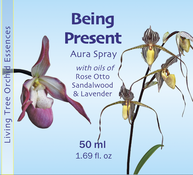 Being Present Aura Spray