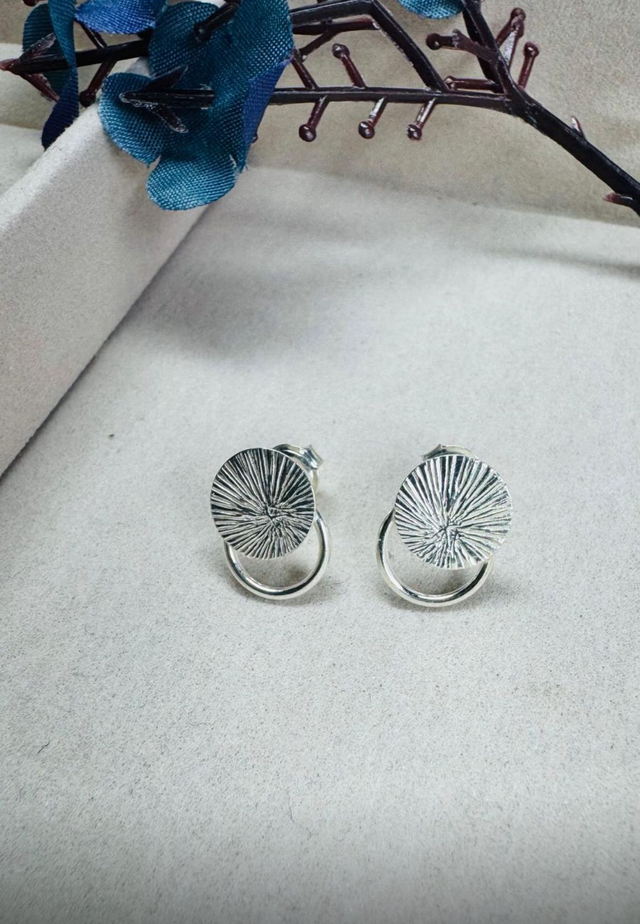 Brinco Elegância em Prata 925