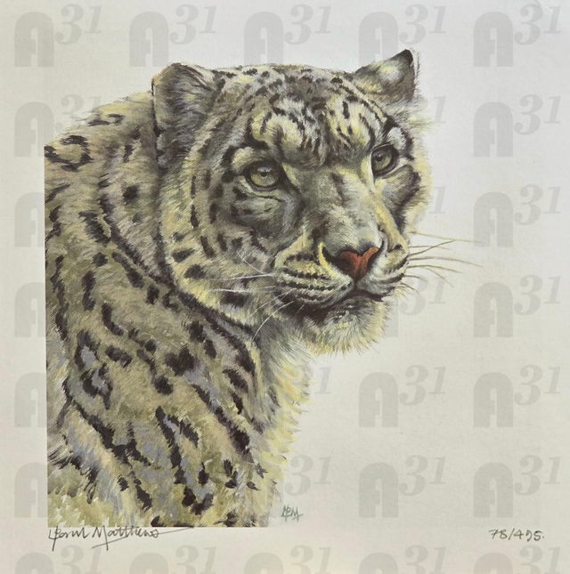 570. Snow leopard print