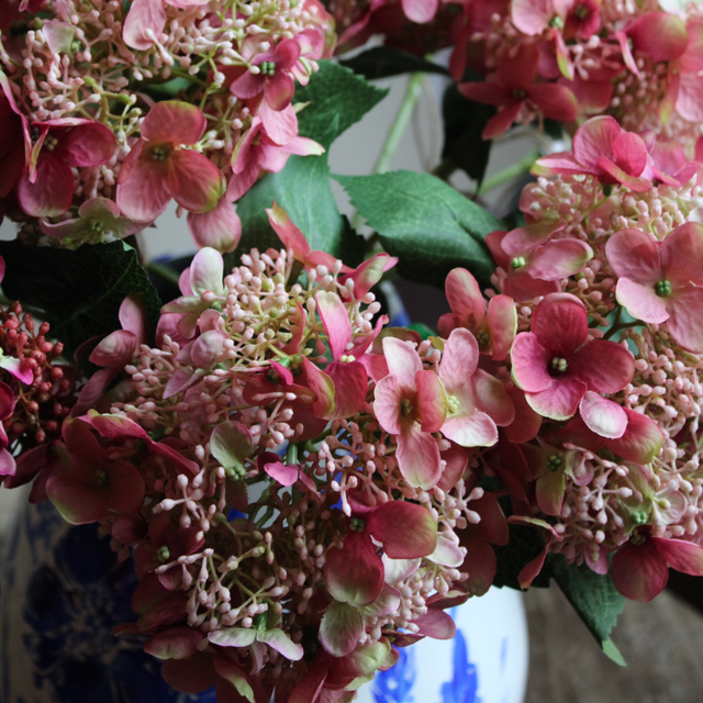 Hydrangea Tak Old Pink 