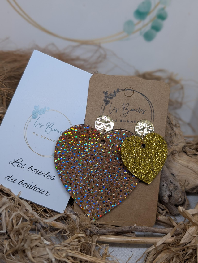 Boucles d&#039;oreilles Asymétrique zk115