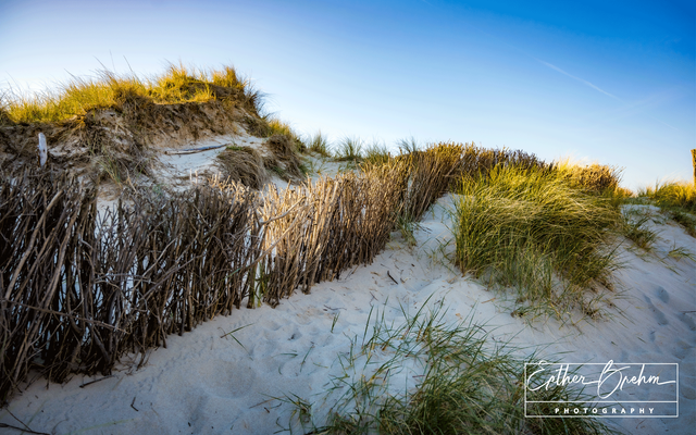 Sylt Dunes