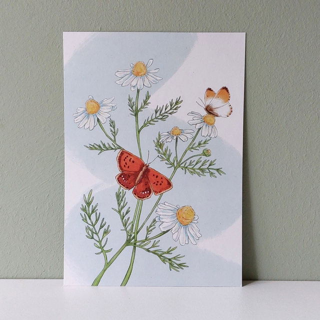 kaart [bloemen] vlinders