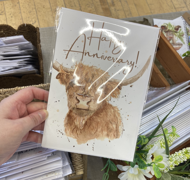 Hamish Highland Cow Anniversary A5 Card