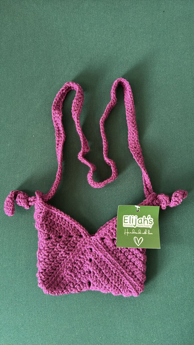 Pink Small Shoulder Bag