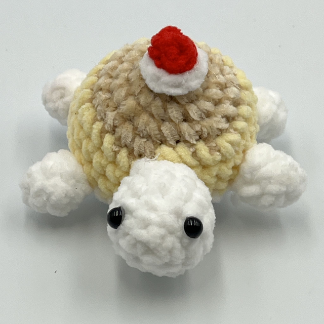 collection tortue