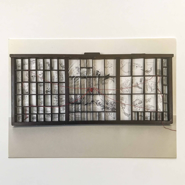 ‘Cabinet of endangered species &amp; near extinctiquities’ (Klimaatexpo 2023)