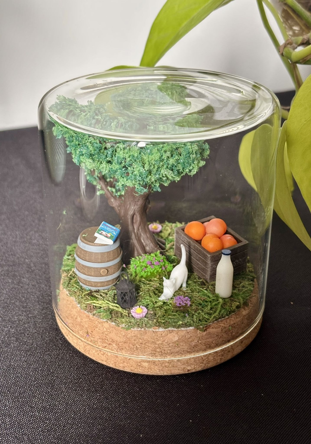 đ Terrarium verre 10cm - Ădition Ă©tĂ©