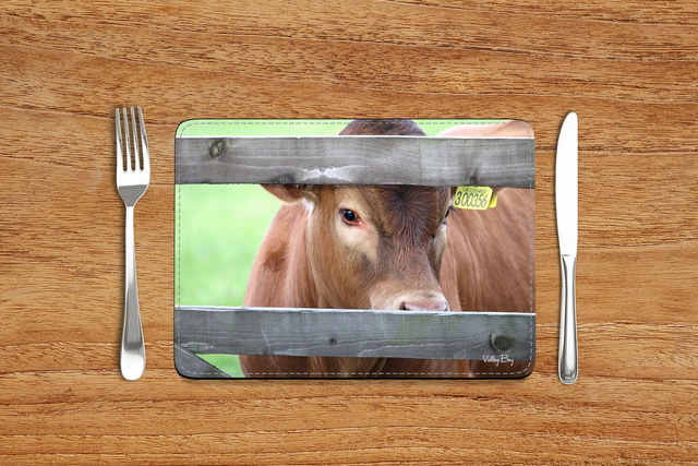“Peeka Moo” Placemat  