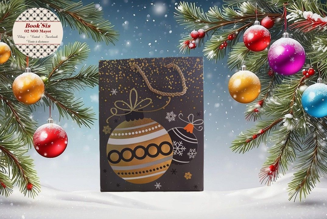 Sacs cadeaux Noël 18x23x10 cm