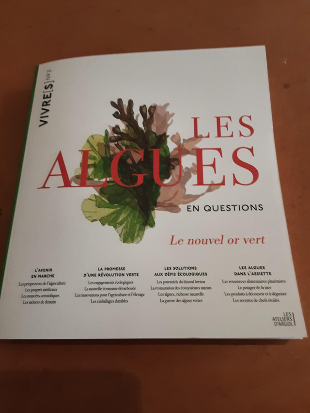 Les algues en question, C.Flohic