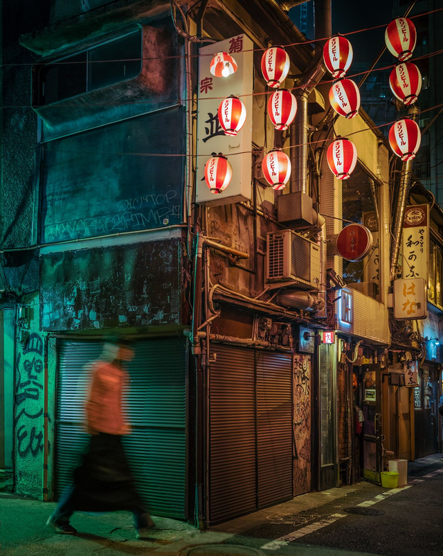 Drunkards Alley - Nonbei Yokocho