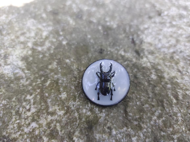 Broche scarabée noir