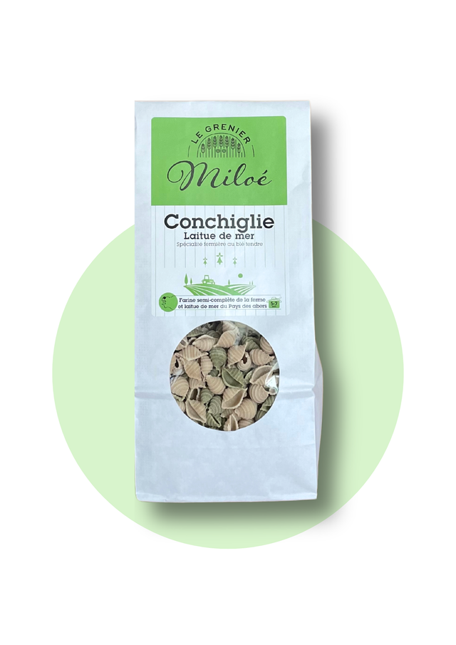 Pates conchiglie laitue de mer