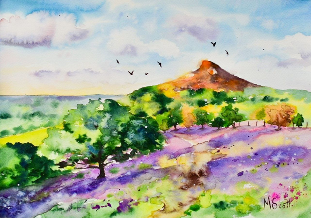 Roseberry Topping Bluebells - cards/prints