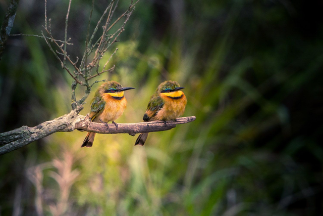 Tirage d'art : En Duo