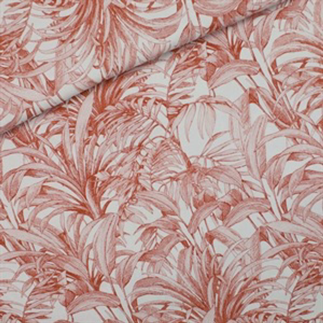 See You at Six - Plants