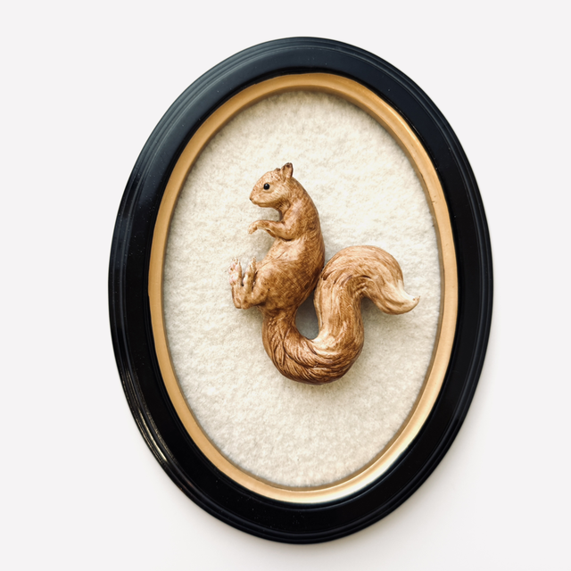 KOA CLINGERS — Squirrel