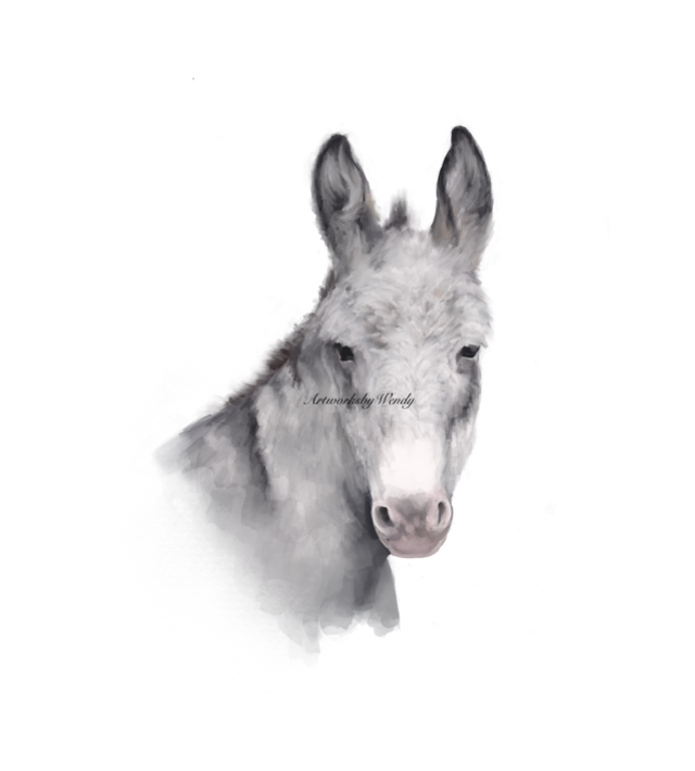 Spotty Donkey 1