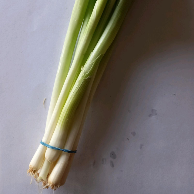 Lauchzwiebeln 14 St.