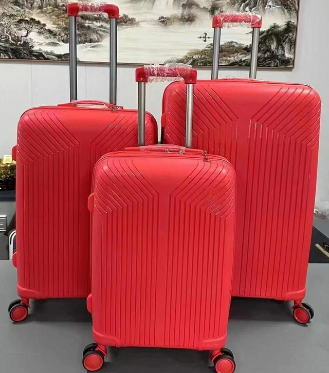 PP Medium Luggage 