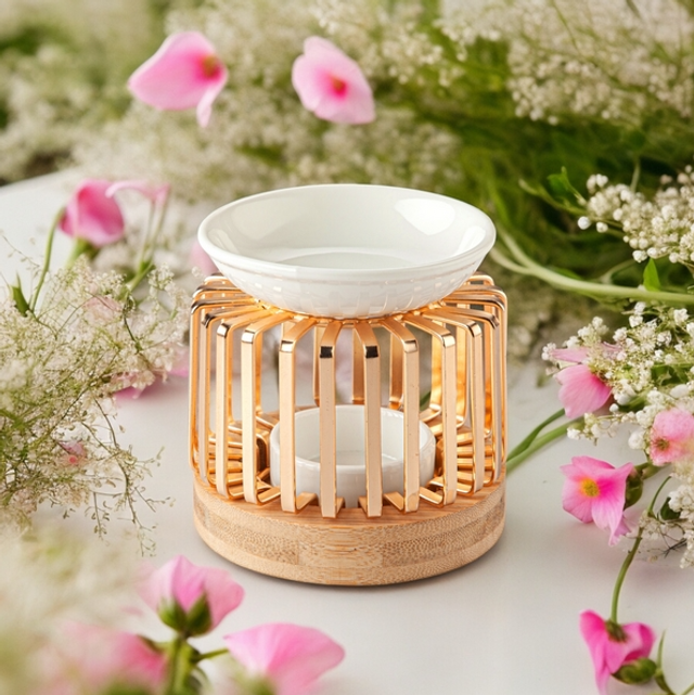 Brûleur Série Simplicity - Aero