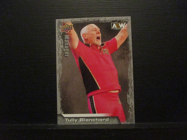 Tully Blanchard - All Elite AEW Original Upper Deck Trading Card #97
